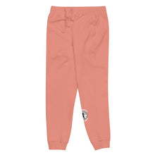 Load image into Gallery viewer, Hoodavile Newark Unisex fleece sweatpants by Different Nation