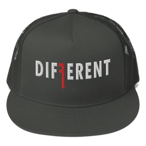 DIFFERENT (8) Colors- Trucker Cap