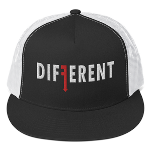 DIFFERENT (8) Colors- Trucker Cap