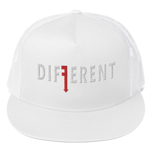 DIFFERENT (8) Colors- Trucker Cap