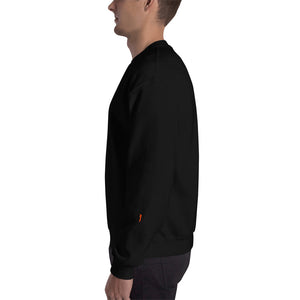 MENS DIFFERENT SWEATSHIRT IN DIFFERENT COLORS