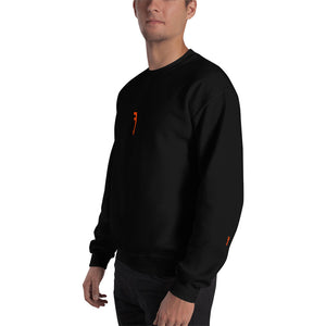 MENS DIFFERENT SWEATSHIRT IN DIFFERENT COLORS